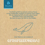 Imported Testa plant based omega 3 nutritional supplement for Indian consumers
