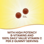Nature's Way Alive Vitamin B Complex 60 vegetarian gummies showing supplement facts and mango flavor label.