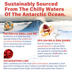 Premium imported krill oil softgels for brain and joint support close up view.