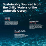 NativePath Antarctic Krill Oil 500 mg dietary supplement bottle showcasing the sustainable Antarctic sourcing seal.