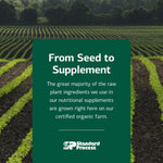 Standard Process USA imported authentic beauty and health supplement