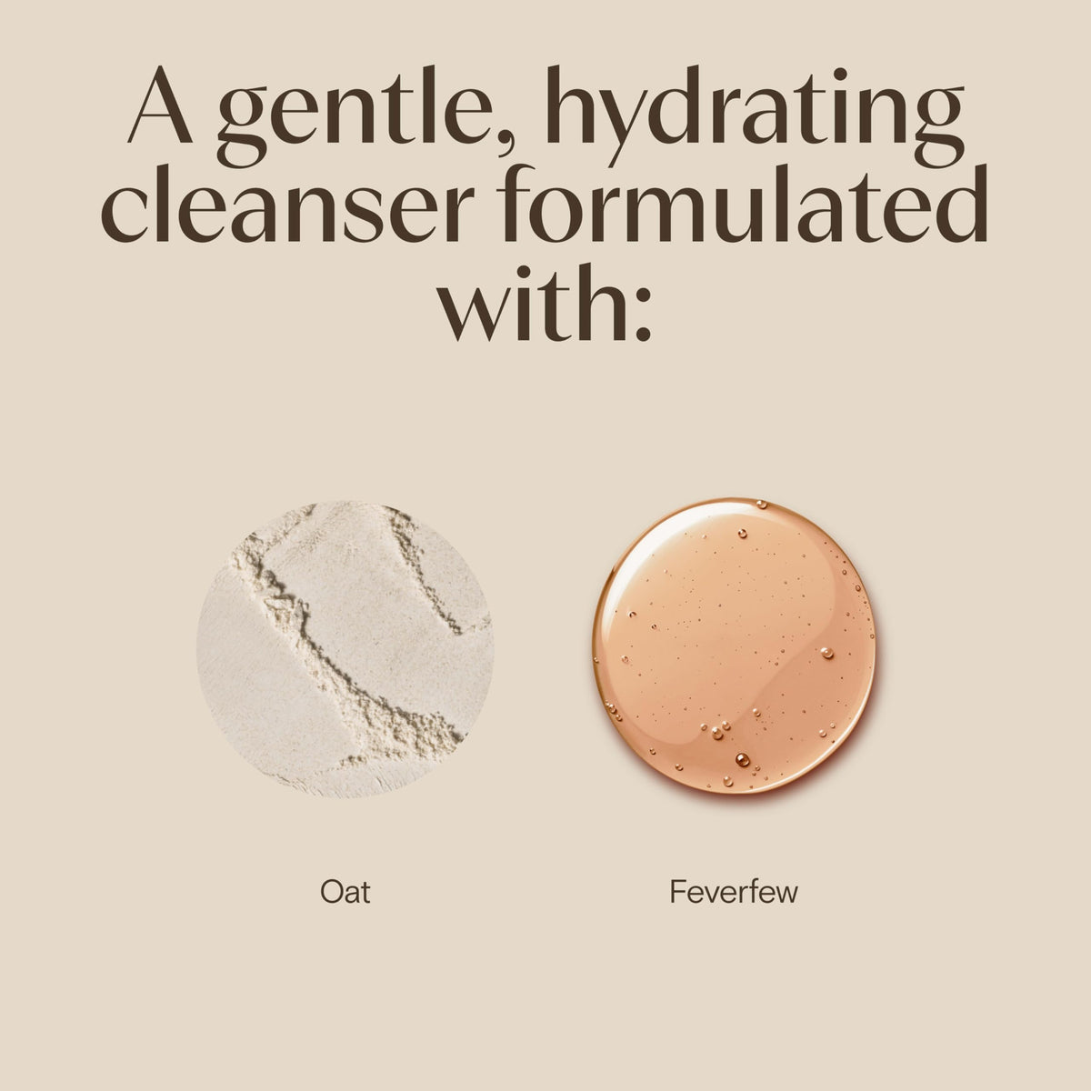 Aveeno Calm and Restore skincare product range highlighting the prebiotic oat packaging graphics