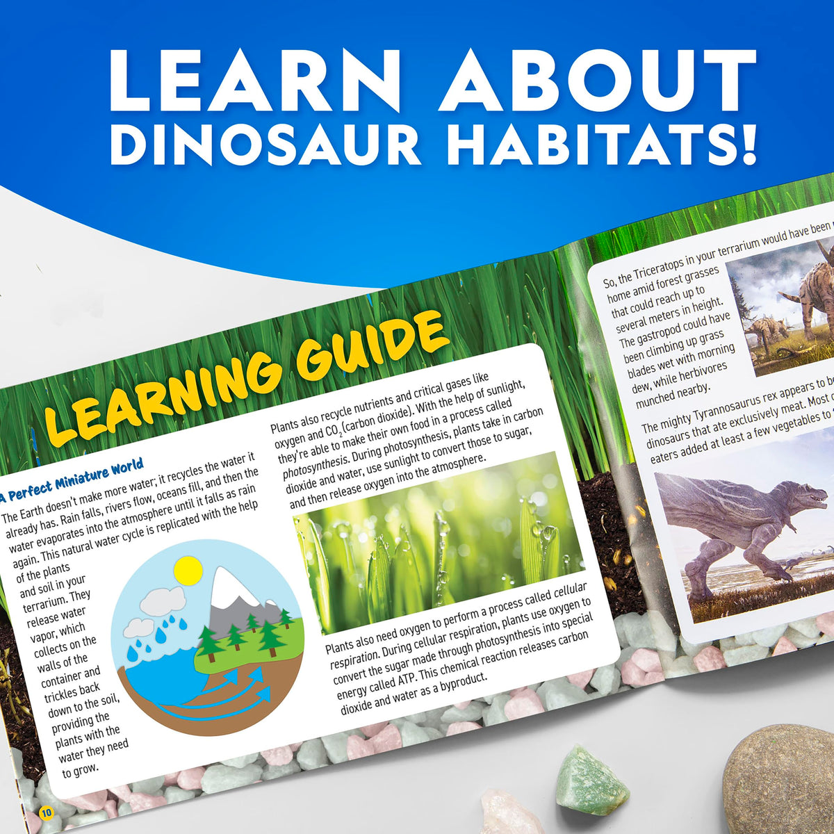 National Geographic dinosaur craft activity box packaging displaying the award winning toy logo.
