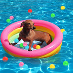 Honoson blow up baby pool set up in a backyard lawn for summer play