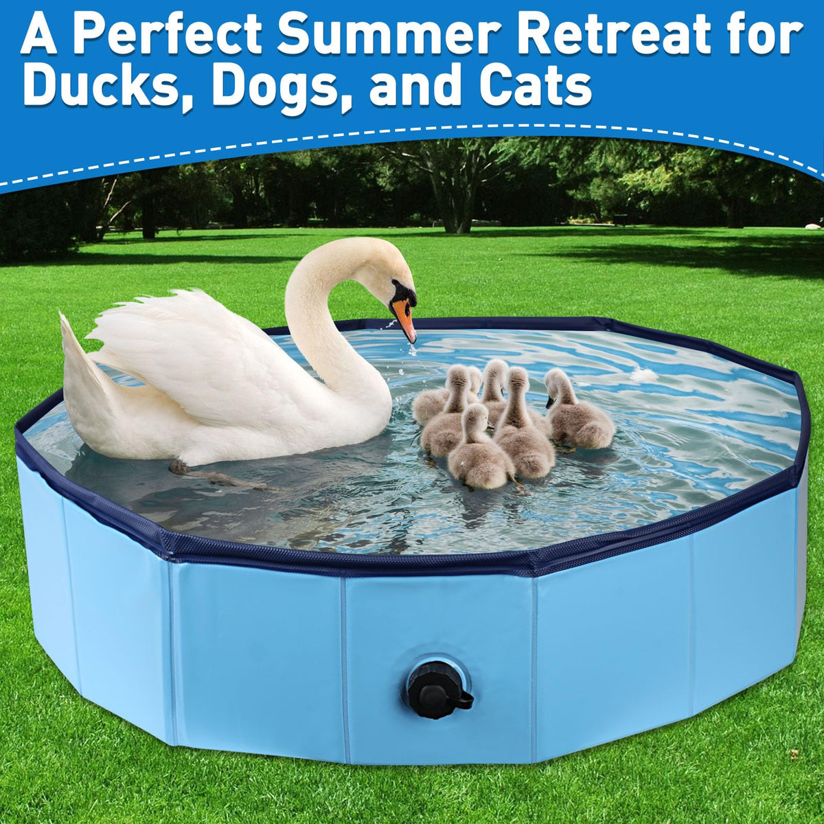 Collapsible pet bath tub by Hdnbsp showing the side panels folded flat for compact storage.