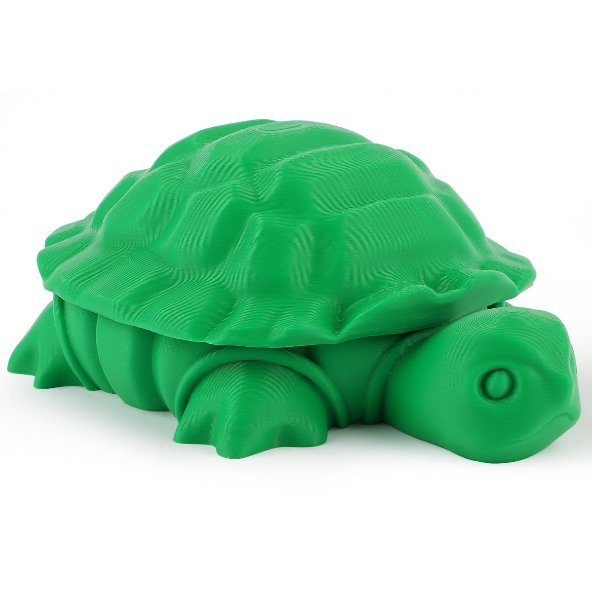 Mini turtle sandbox shell opened showing internal storage
