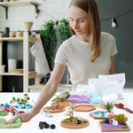 Webeedy Japanese zen garden kit placed on a professional office desk.