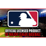 Group of four Franklin Sports oversized foam baseballs