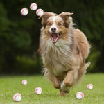 Kids using Hxezoc baseball stress balls as classroom rewards