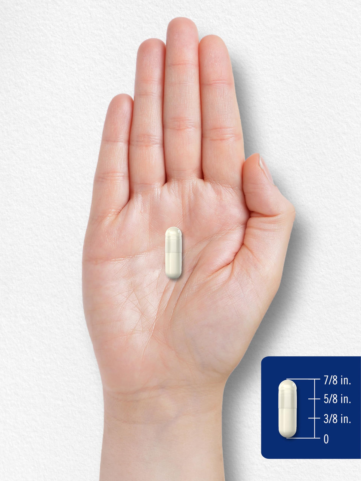 Carlyle premium NAC 80 count vegetarian capsules container top down view
