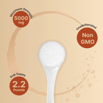 NatureBell Vegan Creatine Monohydrate Powder