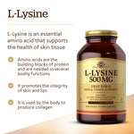 Close up of Solgar L-Lysine 250 count vegetable capsules packaging