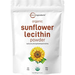 Micro Ingredients Organic Sunflower Lecithin Powder 1 Pound front packaging view