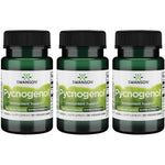 Swanson Ultra Pycnogenol Super Strength 150 mg 3 Pack front view of bottles for antioxidant defense