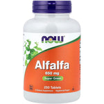 Now Foods Alfalfa 650mg 250 Tablets front view green superfood supplement