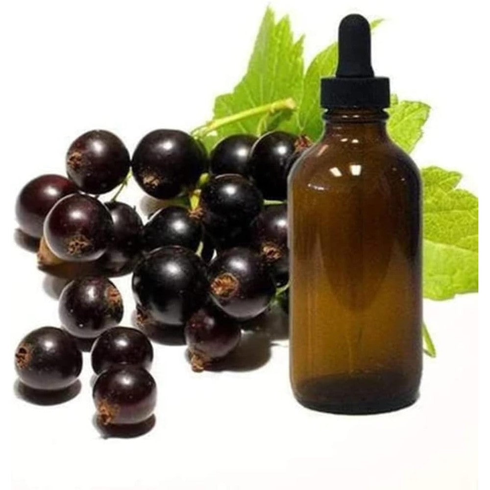 Vando Naturals Black Currant Seed Oil bottle front view for skincare and health