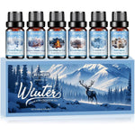 Aeshory Winter Essential Oils Set front view of six holiday fragrance bottles.