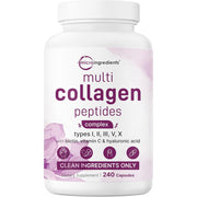240 Count (Pack of 1)