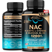 240 Count (Pack of 1)