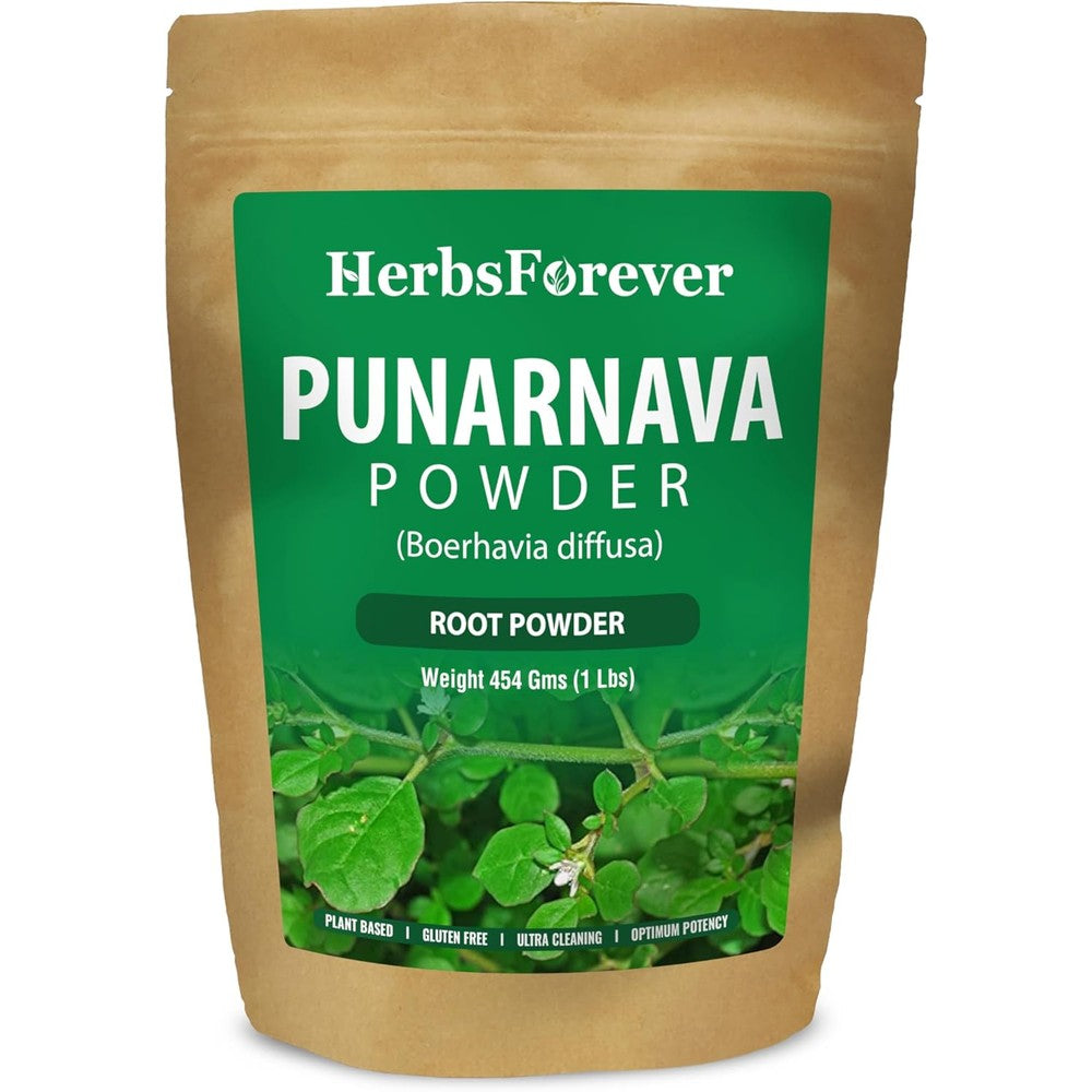 Herbsforever Punarnava Boerhaavia Diffusa Root Powder front view for kidney support
