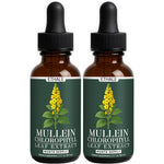 Ethale Natural Mullein Leaf Herbal Drops front view bottle for lung health