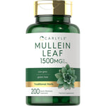 Carlyle Mullein Leaf Extract 1500mg bottle front view