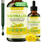 Muechaya Liposomal 14 In 1 Mullein Drops bottle front view