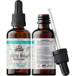Florida Herbs Organic Gotu Kola Tincture front view of the amber glass bottle with dropper for cognitive wellness.