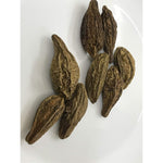 Sanaa Zesty Harad Haritaki whole fruit pack front view showing premium Ayurvedic herbs.