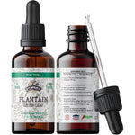Florida Herbs Organic Plantain Tincture front label view