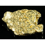 Nuggetsbygrant 467 Alaskan BC Natural Gold Nugget front view