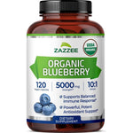 Zazzee USDA Organic Blueberry Extract front view bottle