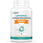 Orgabay Liposomal NAD supplement bottle front view detailing five hundred milligram dosage for cellular energy