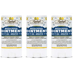 Rawleigh Medicated Ointment Stick three pack front view showing packaging for cold and nasal congestion relief.