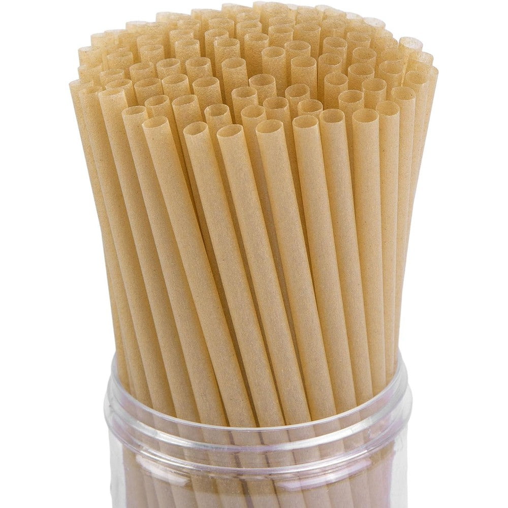 HansGo Sugarcane Straws front view pack of eco friendly disposable drinking straws