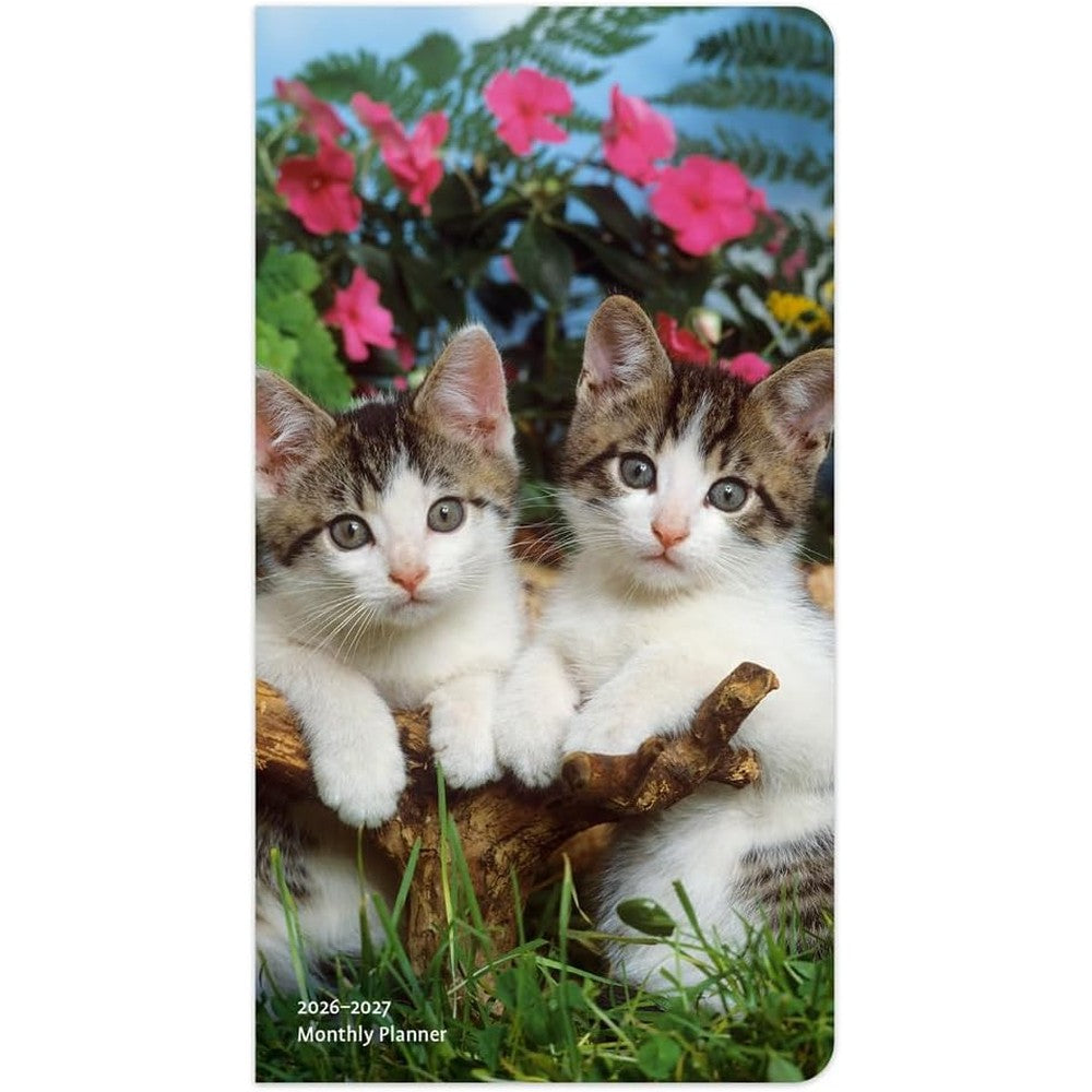 Kitten Cuddles | 2026-2027 3.5 x 6.5 Inch Two Year Monthly Pocket Planner Calendar | BrownTrout | Animals Cute Cat Feline