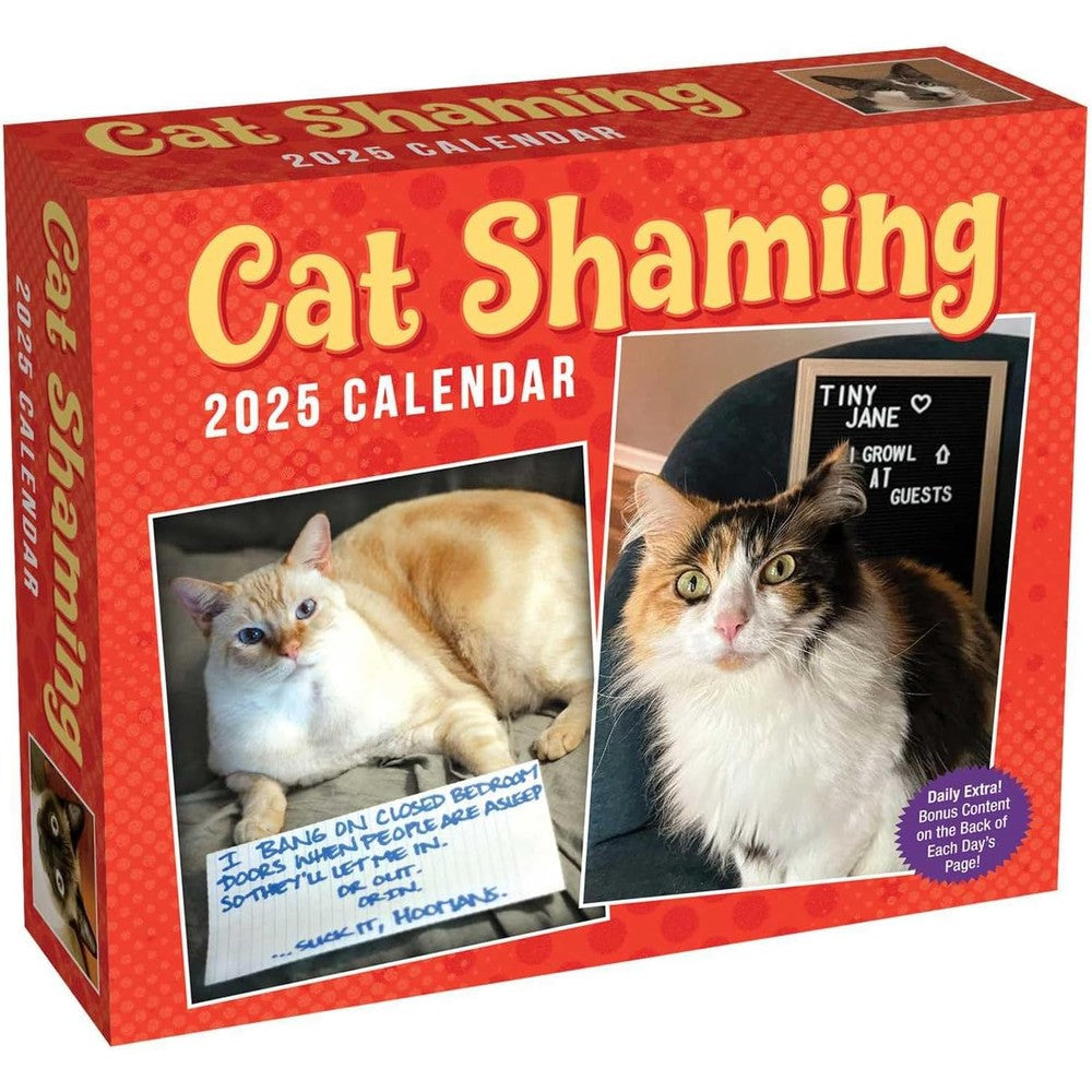 Cat Shaming 2025 Day-to-Day Calendar