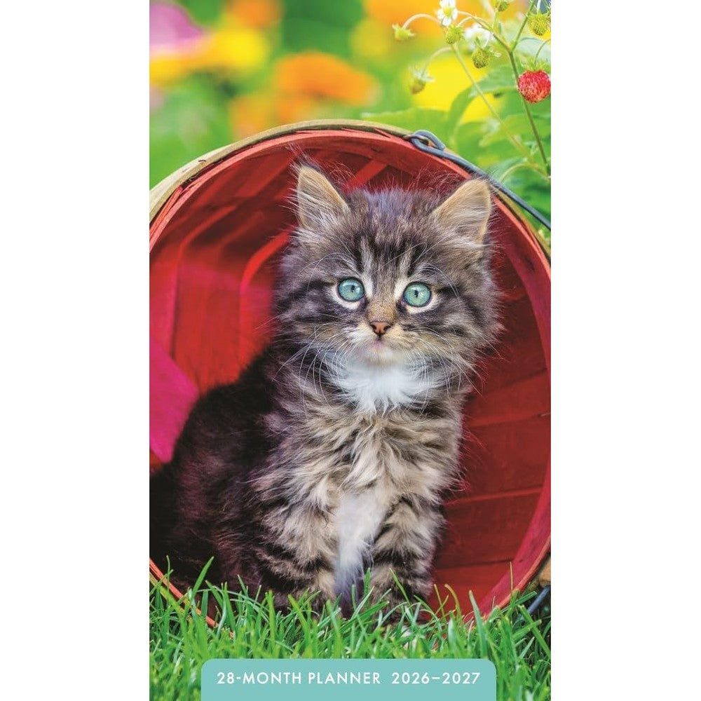 Kittens 28-Month Inspirational Pocket Planner 2026-2027, 2-Year Calendar