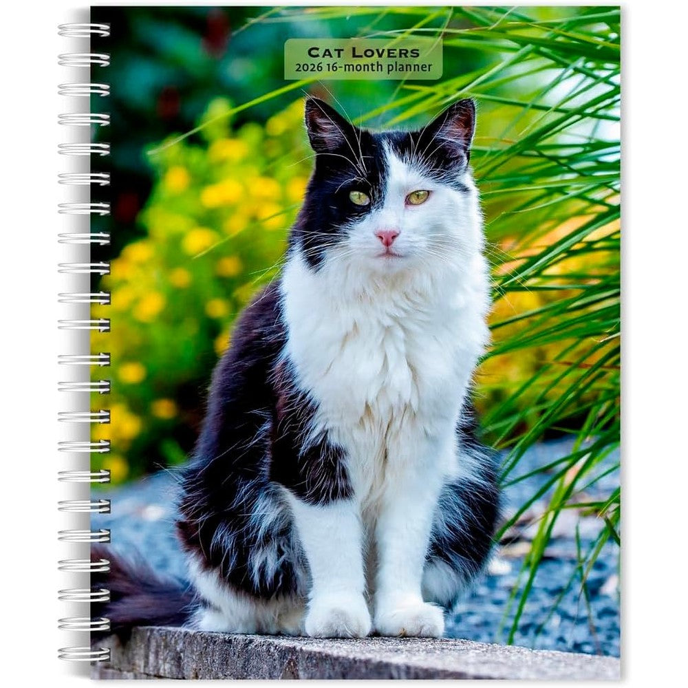 Cat Lovers | 2026 6 x 7.75 Inch Spiral-Bound Wire-O Weekly Engagement Planner Calendar | New Full-Color Image Every Week | BrownTrout | Animals Domestic Kittens Feline