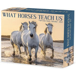 What Horses Teach Us 2023 Box Calendar
