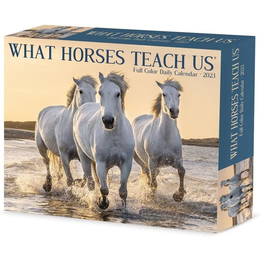 What Horses Teach Us 2023 Box Calendar