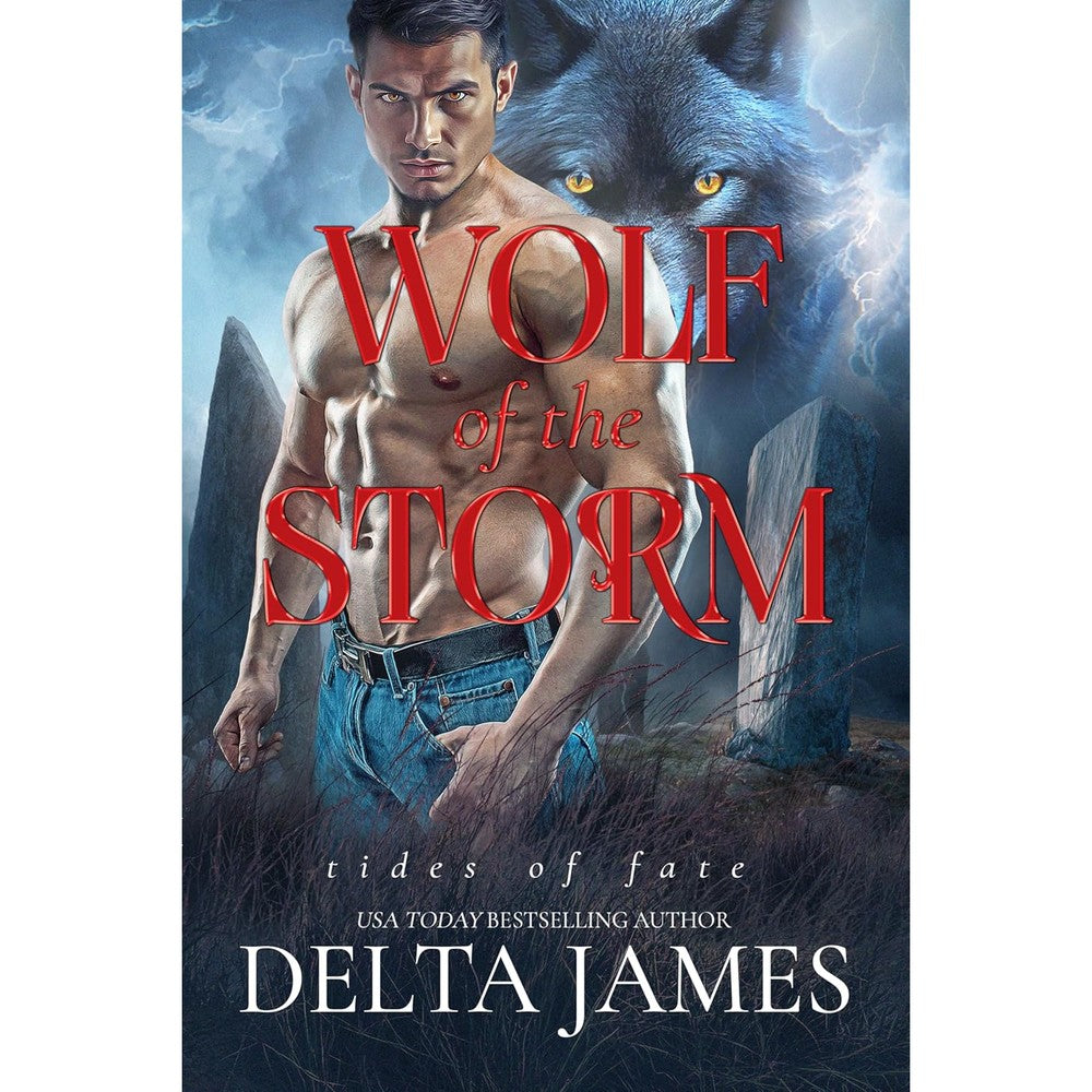 Delta James Wolf of the Storm Kindle book cover front view