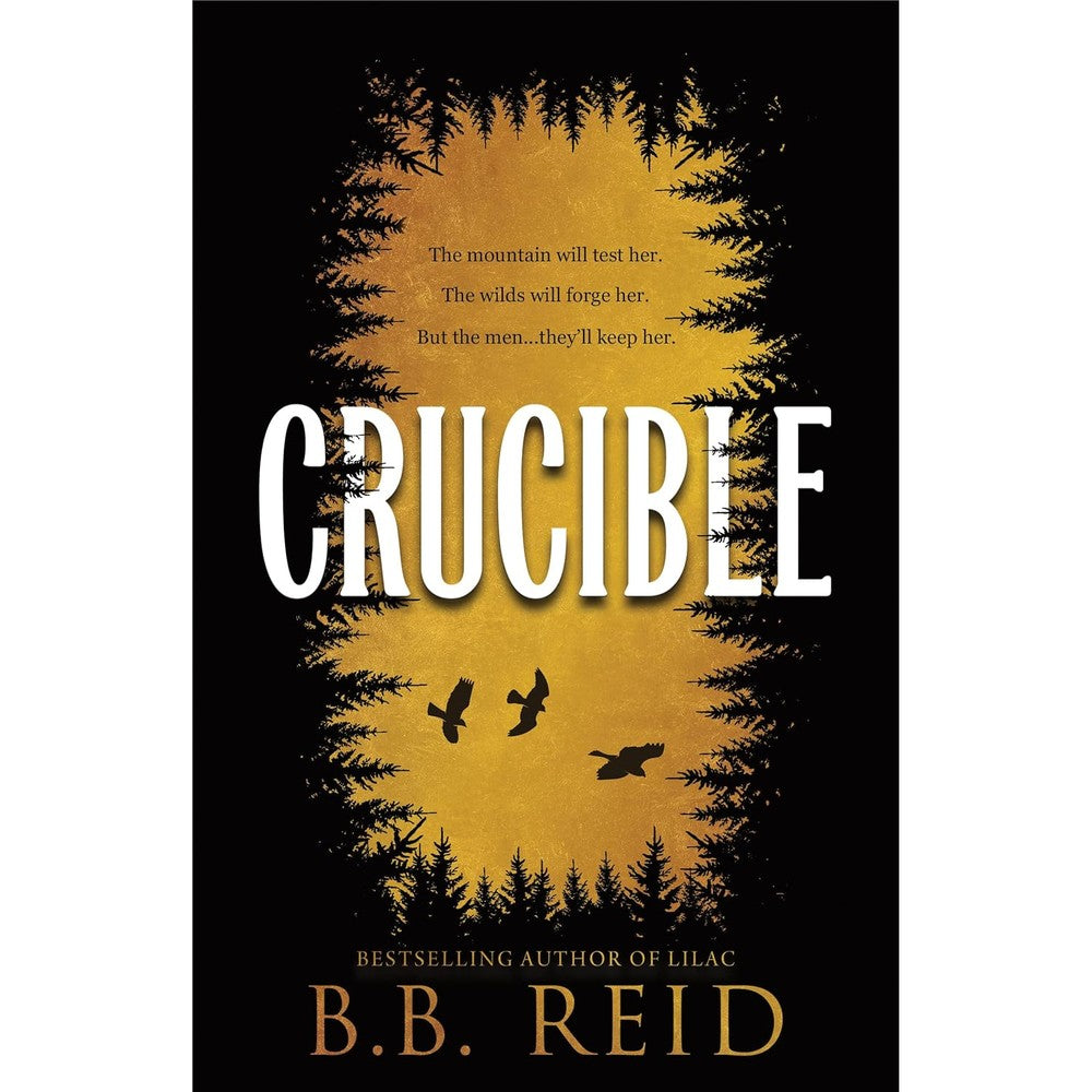 B.B. Reid Crucible book front view authentic dark romance novel