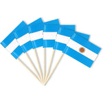 Pretty Jessie Argentina Flag Toothpick Toppers 100 count front view food picks