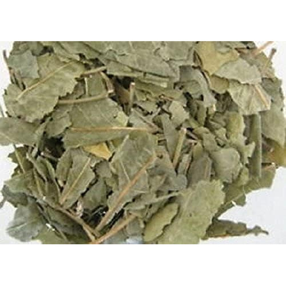Aayurveda Bestdeal Bilwa Aegle Marmelos Bael Patra 200 grams supplement container front view displaying authentic herbal dried wellness leaves.