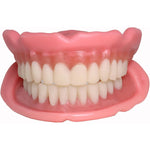 Easy Denture boil and bite functional denture set front view