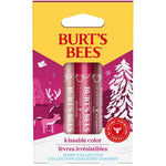 Burt's Bees Kissable Color Warm Gift Set packaging showing three lip shimmer sticks