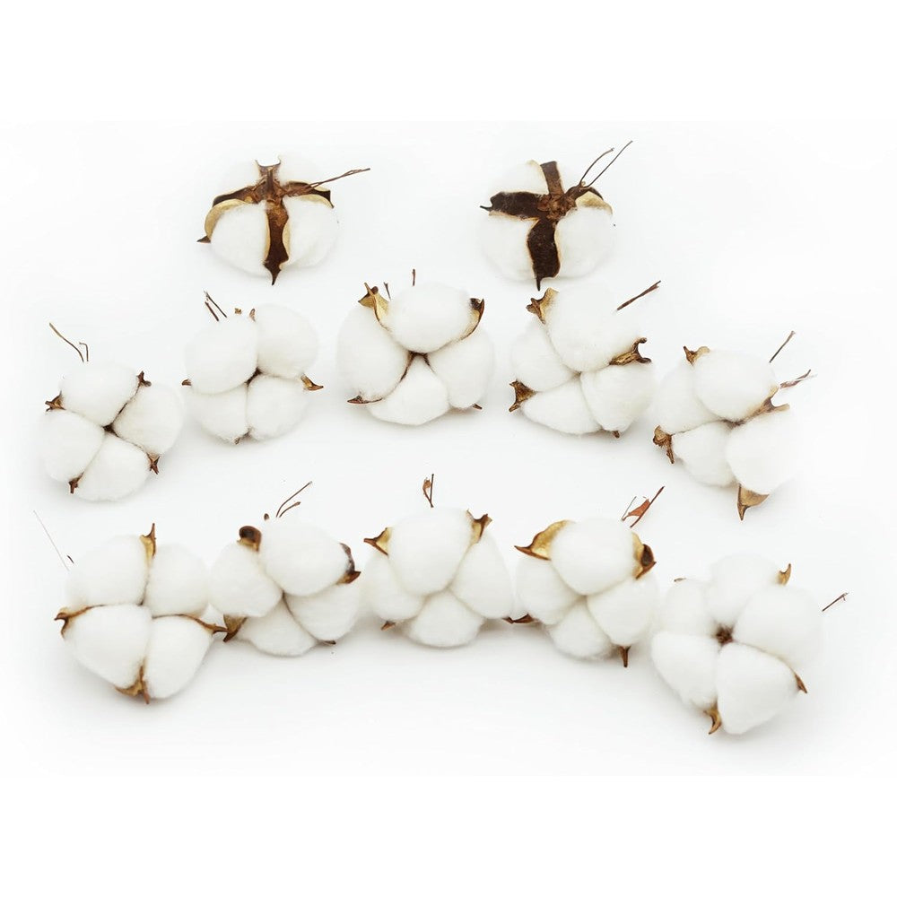 Skovvart 12 Pieces White Cotton Bolls Decorative Stems
