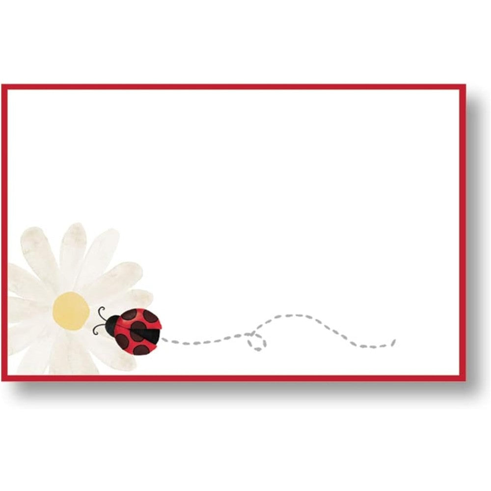 Burton+Burton Ladybug and Daisy Enclosure Cards 50 Count pack front view