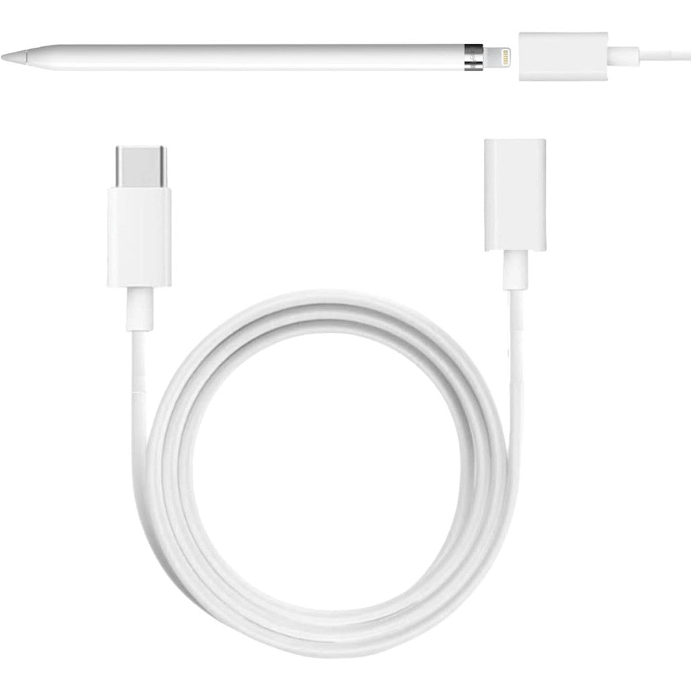 ONGAHON USB C to Apple Pencil adapter cable front view showing connectors